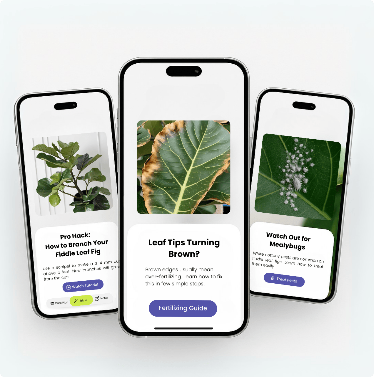 App screen
