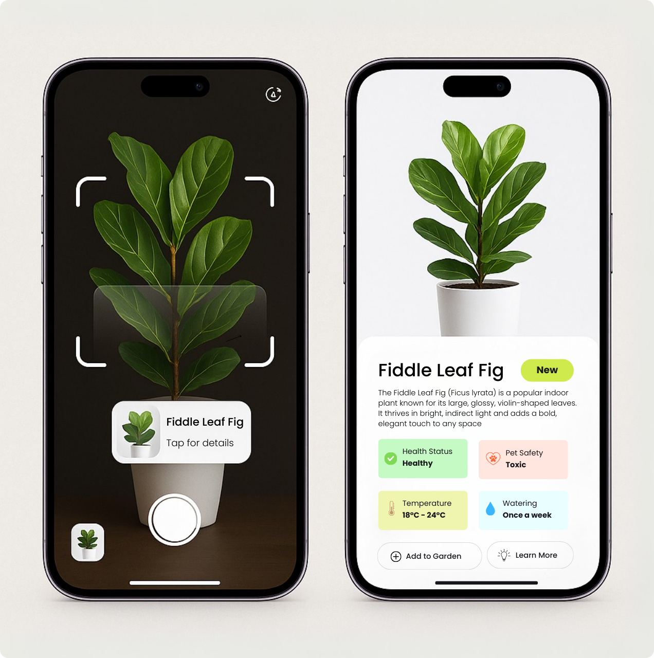 App screen