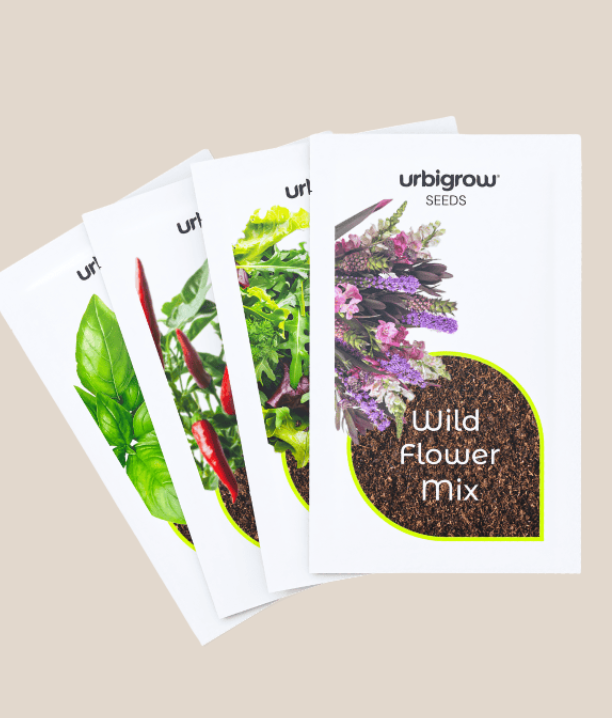 Curated seed mix: basil, greens, flowers & peppers