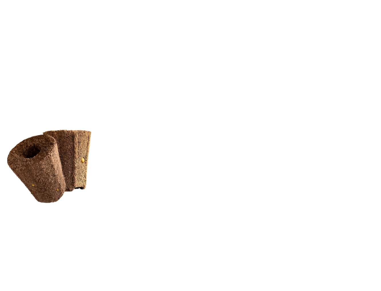 Layer 2