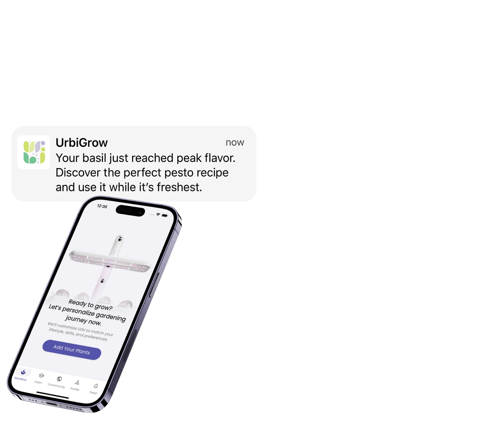 Overlay Image