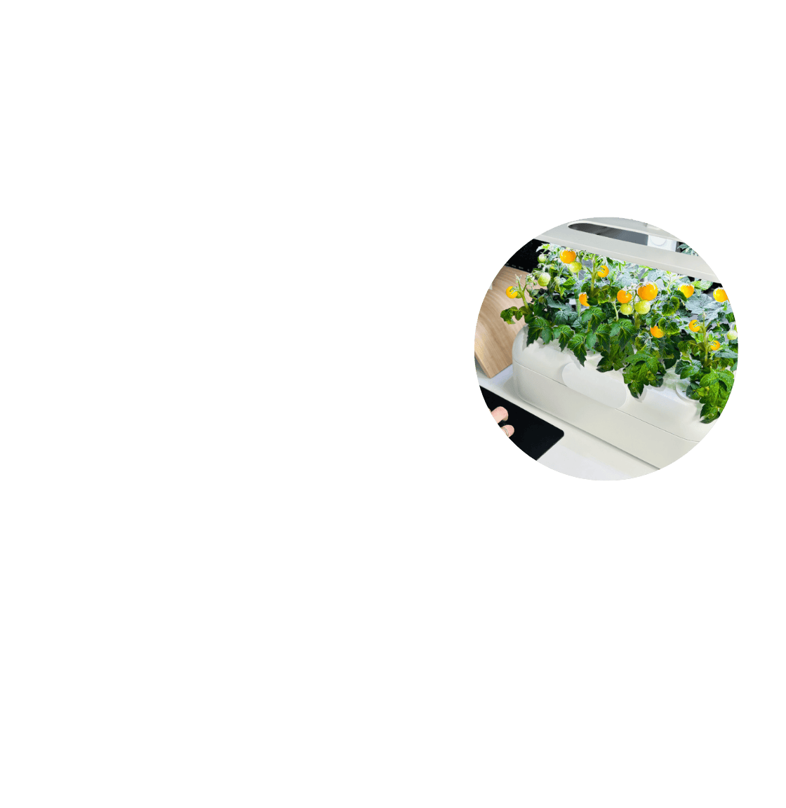 Helping People (and Plants) Thrive.