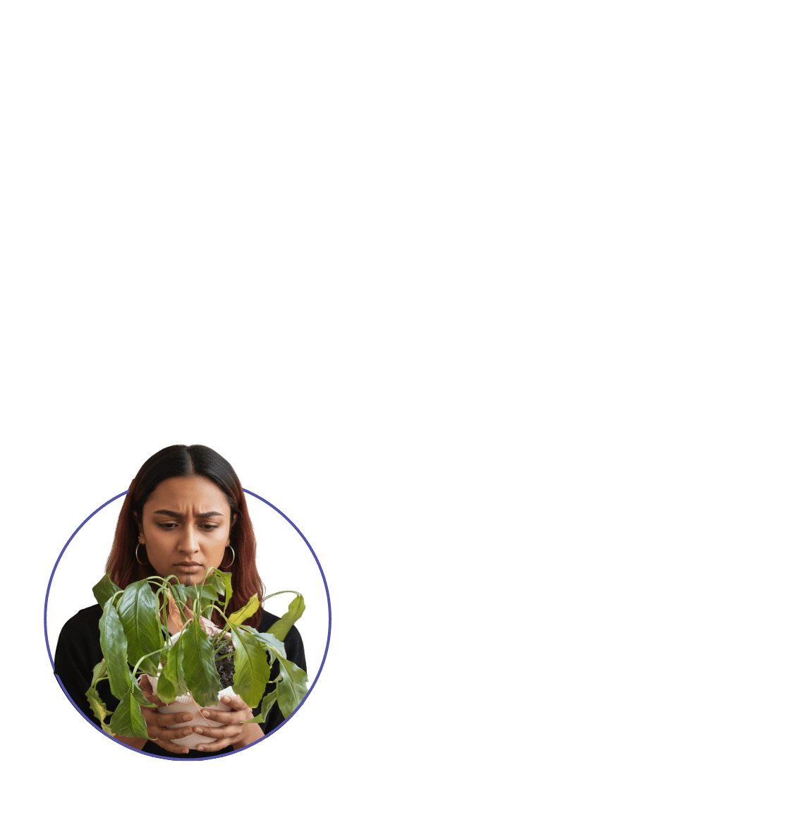 Solve Any Plant Problem With Urbi AI Assistant