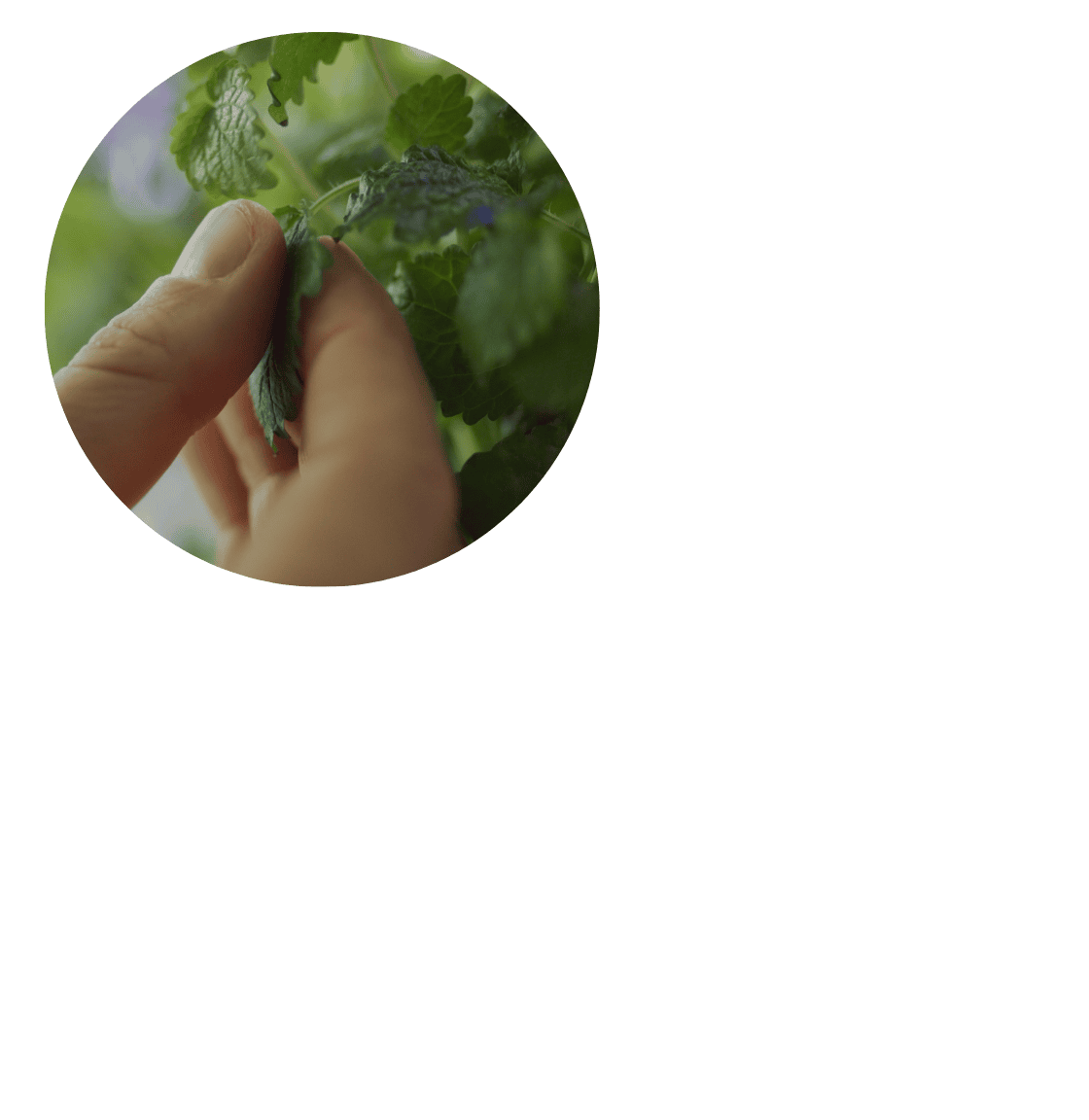 Helping People (and Plants) Thrive.