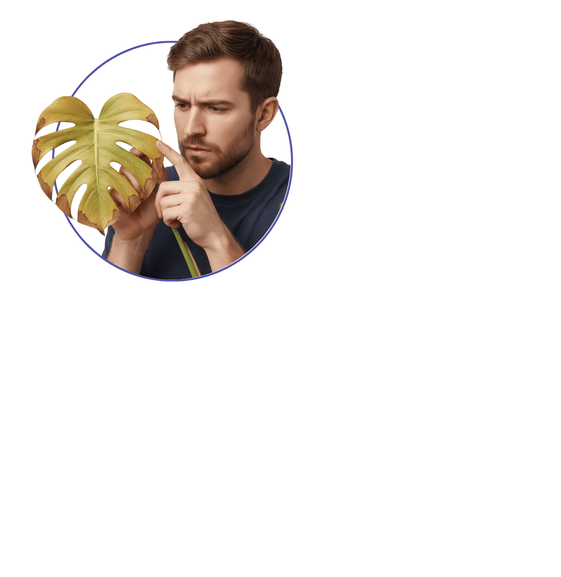 Solve Any Plant Problem With Urbi AI Assistant